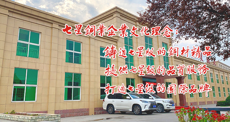 mg森林舞会