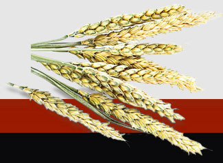 中国·6163天河(股份)有限公司-官方网站