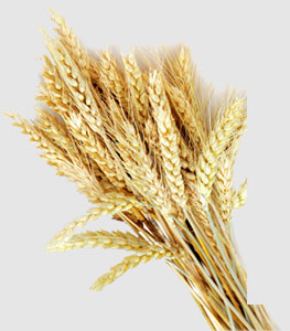 中国·6163天河(股份)有限公司-官方网站