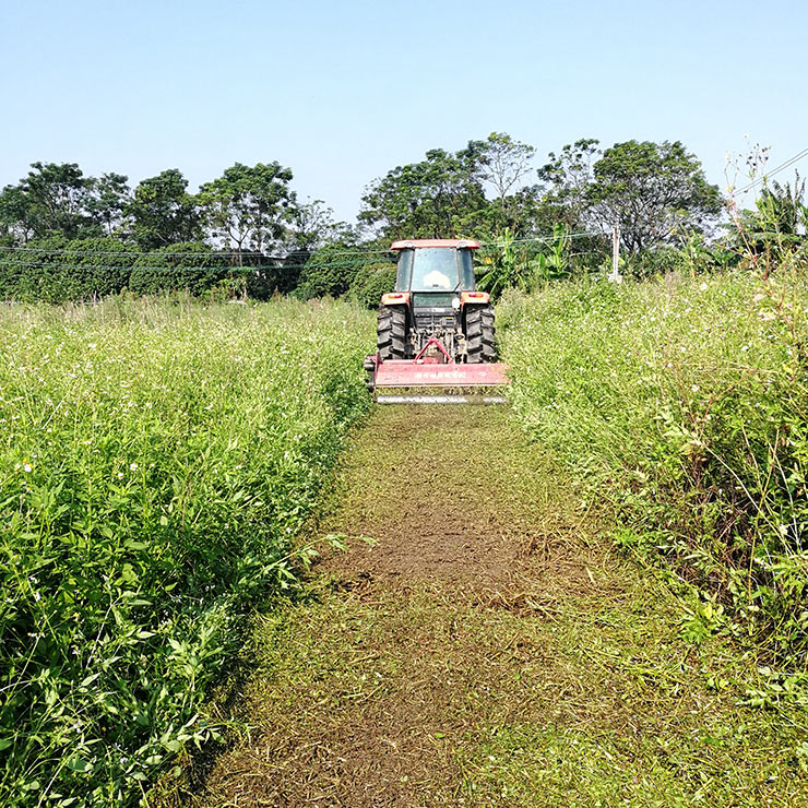 中国·6163天河(股份)有限公司-官方网站