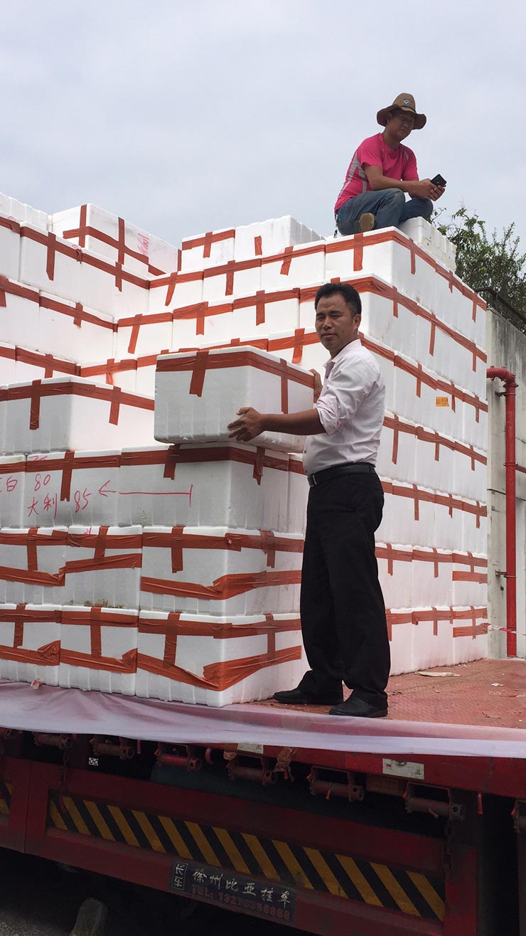 中国·6163天河(股份)有限公司-官方网站