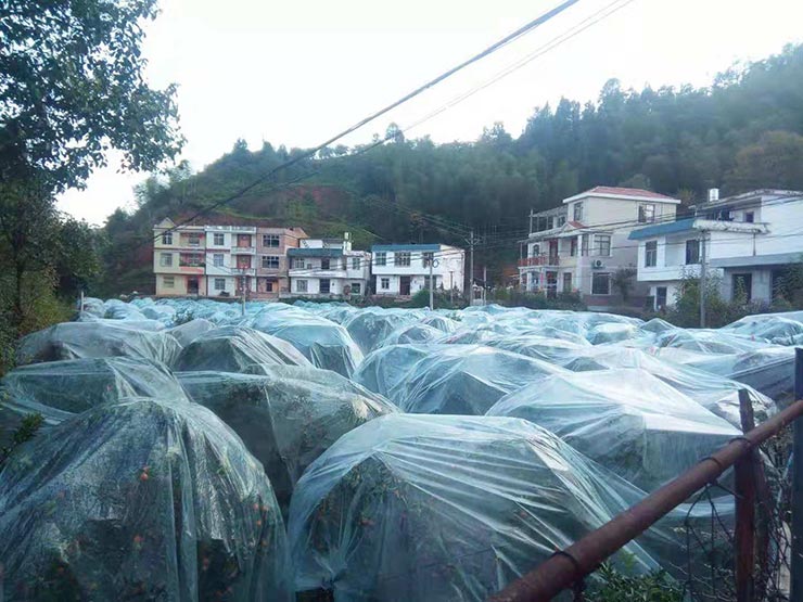 中国·6163天河(股份)有限公司-官方网站