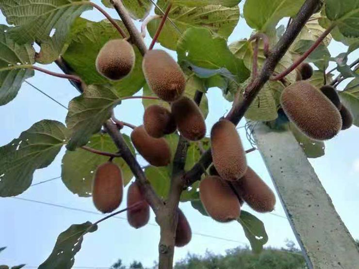 中国·6163天河(股份)有限公司-官方网站