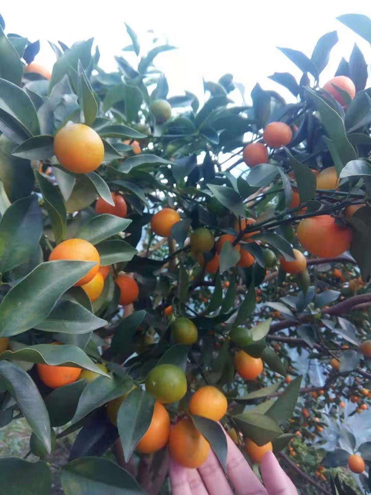 中国·6163天河(股份)有限公司-官方网站