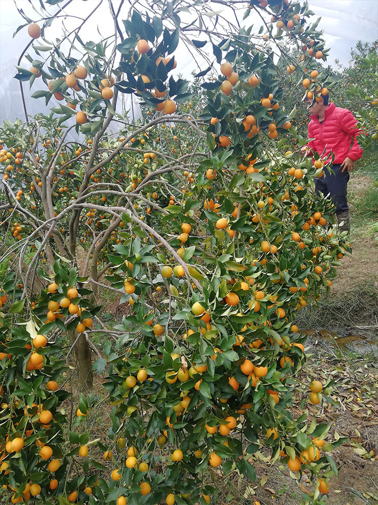 中国·6163天河(股份)有限公司-官方网站