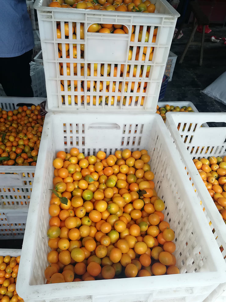 中国·6163天河(股份)有限公司-官方网站