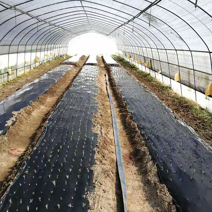 中国·6163天河(股份)有限公司-官方网站