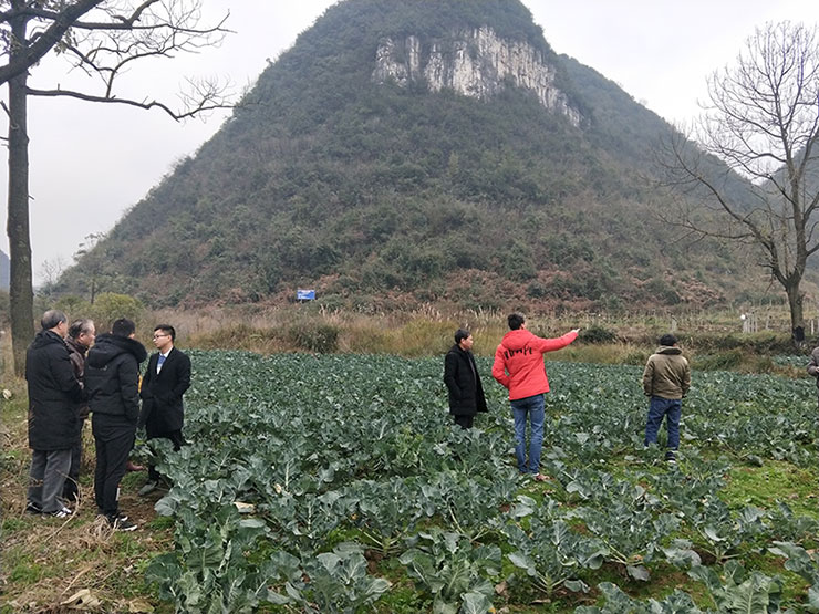 中国·6163天河(股份)有限公司-官方网站