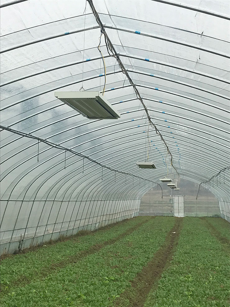 中国·6163天河(股份)有限公司-官方网站