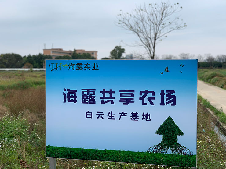 中国·6163天河(股份)有限公司-官方网站