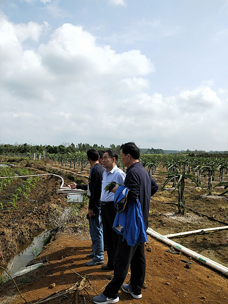 中国·6163天河(股份)有限公司-官方网站