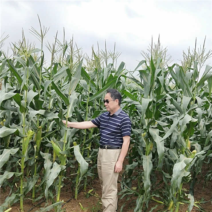 中国·6163天河(股份)有限公司-官方网站