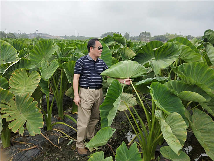 中国·6163天河(股份)有限公司-官方网站