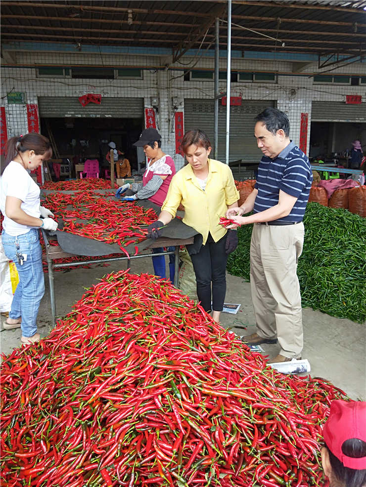 中国·6163天河(股份)有限公司-官方网站