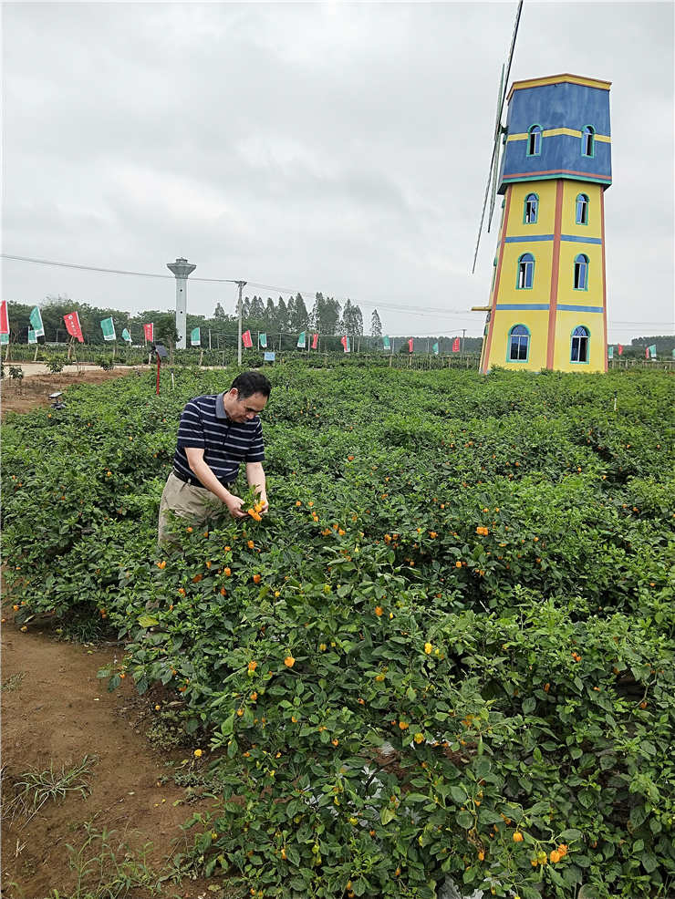 中国·6163天河(股份)有限公司-官方网站