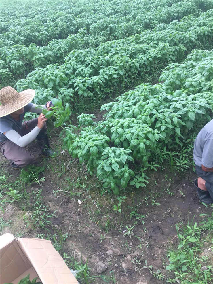 中国·6163天河(股份)有限公司-官方网站