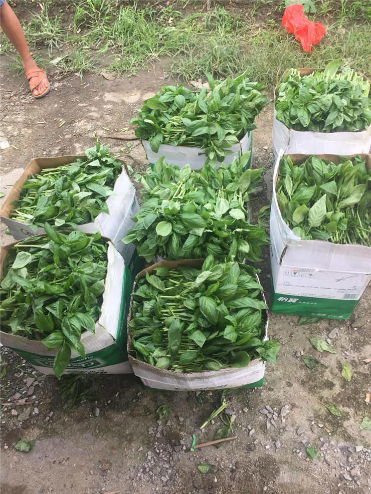 中国·6163天河(股份)有限公司-官方网站