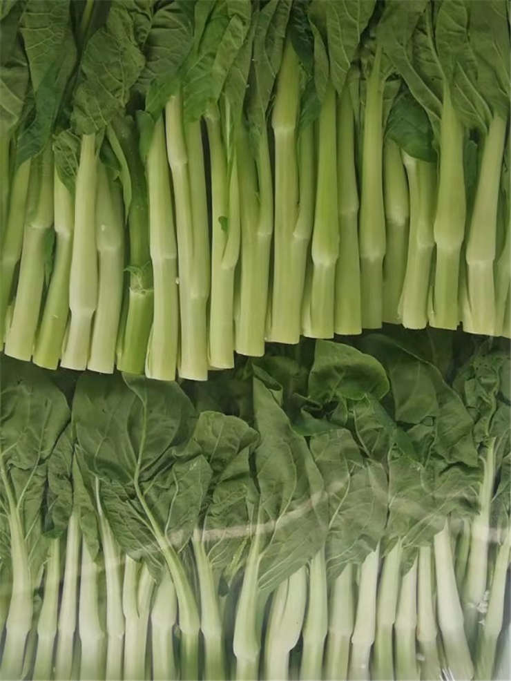 中国·6163天河(股份)有限公司-官方网站