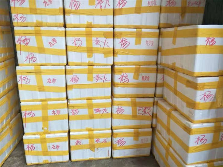 中国·6163天河(股份)有限公司-官方网站