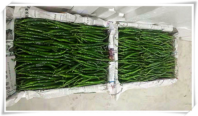 中国·6163天河(股份)有限公司-官方网站