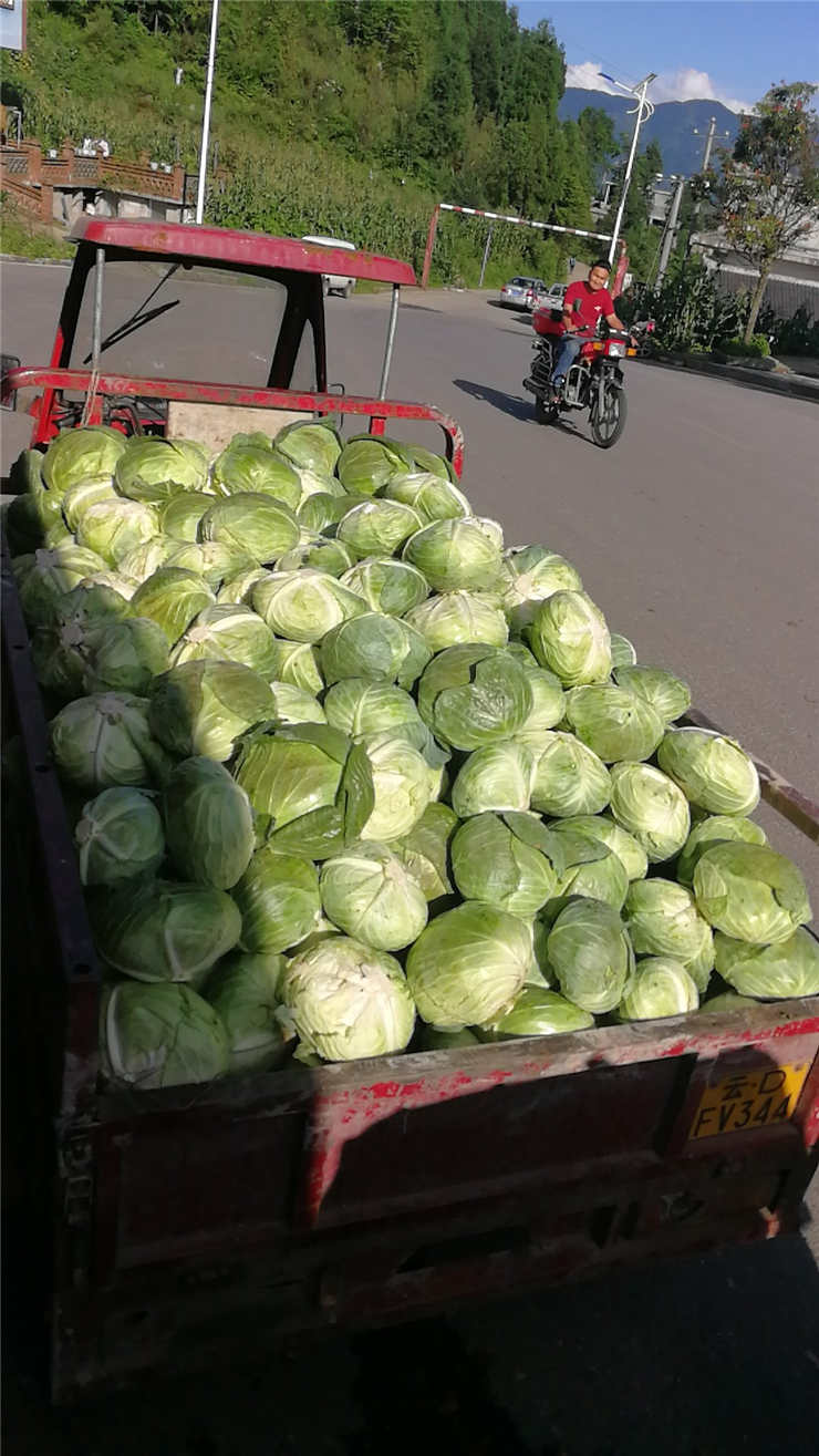 中国·6163天河(股份)有限公司-官方网站