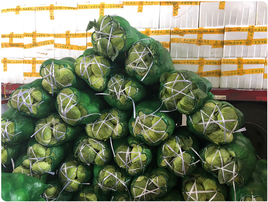 中国·6163天河(股份)有限公司-官方网站