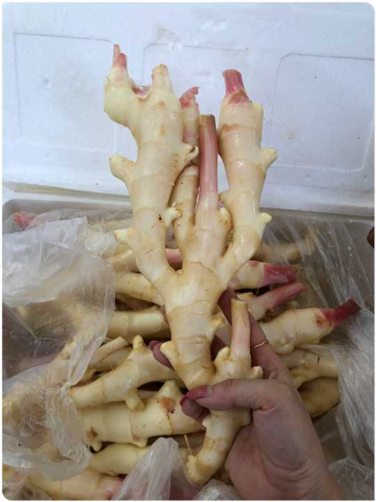 中国·6163天河(股份)有限公司-官方网站