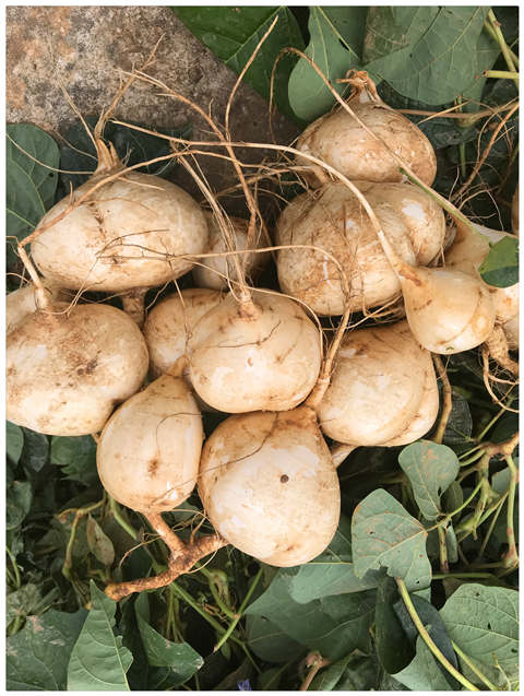 中国·6163天河(股份)有限公司-官方网站