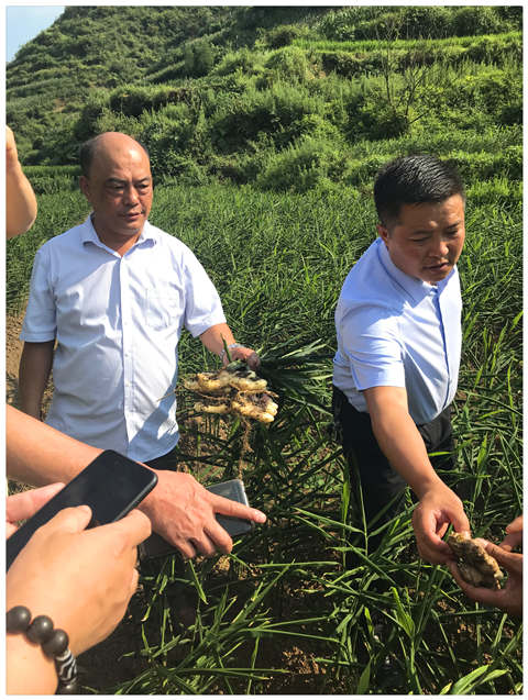 中国·6163天河(股份)有限公司-官方网站