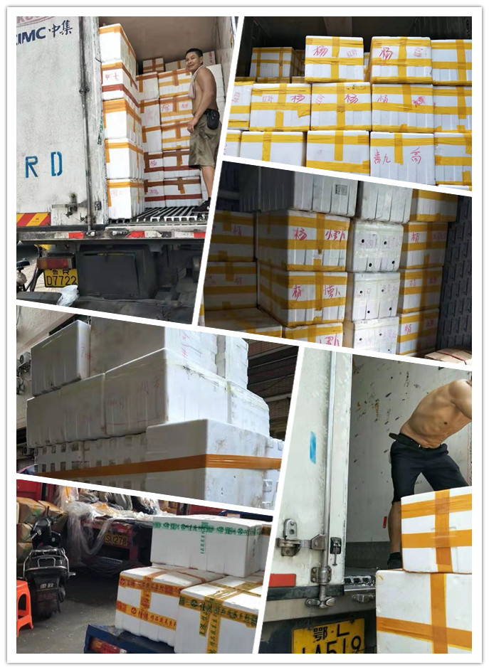 中国·6163天河(股份)有限公司-官方网站