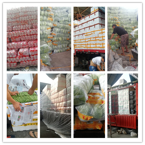 中国·6163天河(股份)有限公司-官方网站