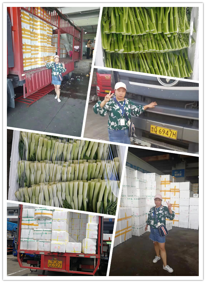 中国·6163天河(股份)有限公司-官方网站