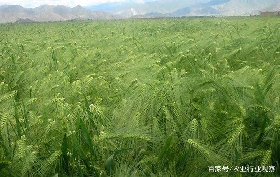 中国·6163天河(股份)有限公司-官方网站