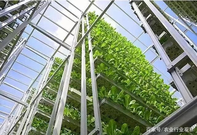 中国·6163天河(股份)有限公司-官方网站