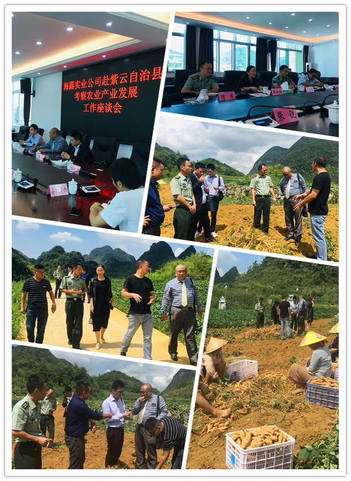 中国·6163天河(股份)有限公司-官方网站