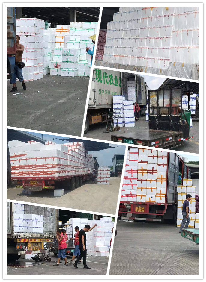 中国·6163天河(股份)有限公司-官方网站