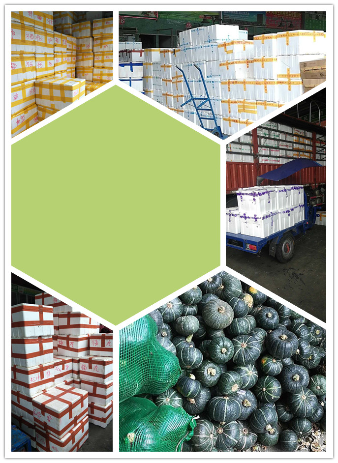 中国·6163天河(股份)有限公司-官方网站