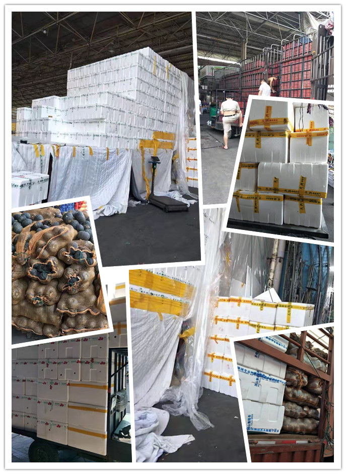 中国·6163天河(股份)有限公司-官方网站