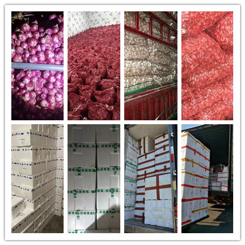 中国·6163天河(股份)有限公司-官方网站