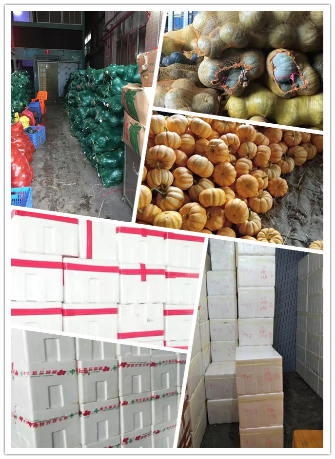 中国·6163天河(股份)有限公司-官方网站