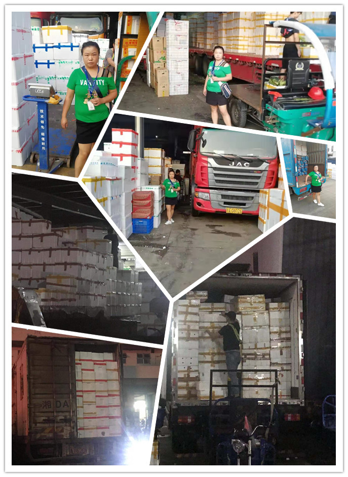 中国·6163天河(股份)有限公司-官方网站