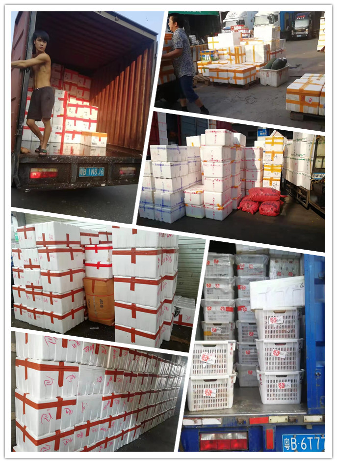 中国·6163天河(股份)有限公司-官方网站