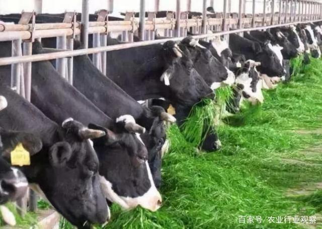 中国·6163天河(股份)有限公司-官方网站