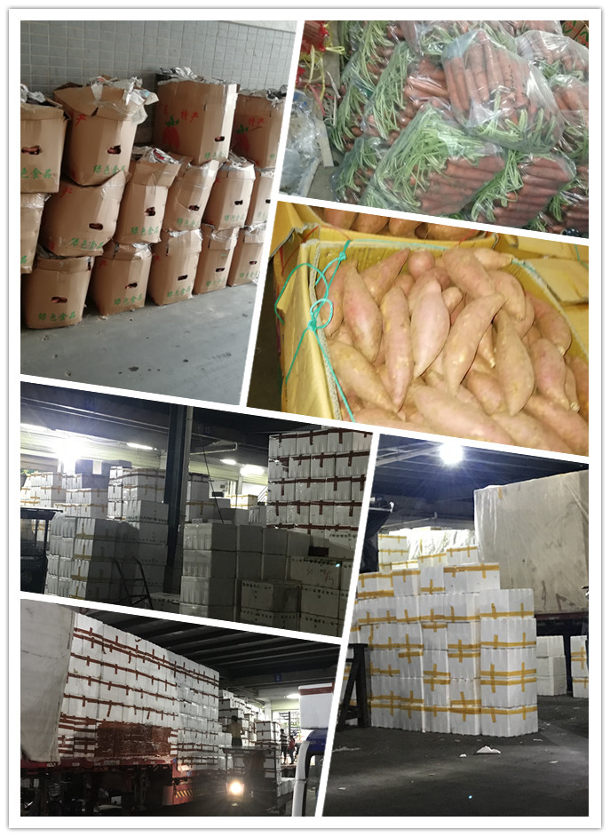 中国·6163天河(股份)有限公司-官方网站