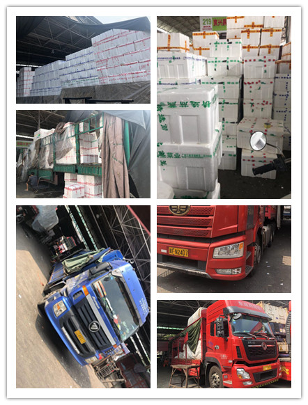 中国·6163天河(股份)有限公司-官方网站