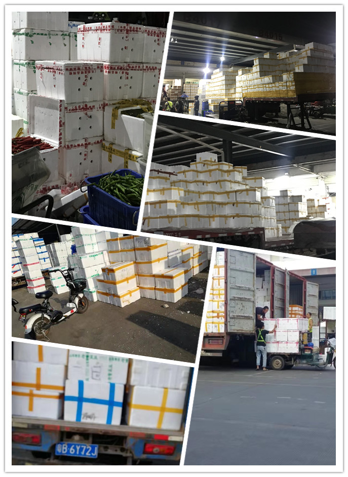 中国·6163天河(股份)有限公司-官方网站