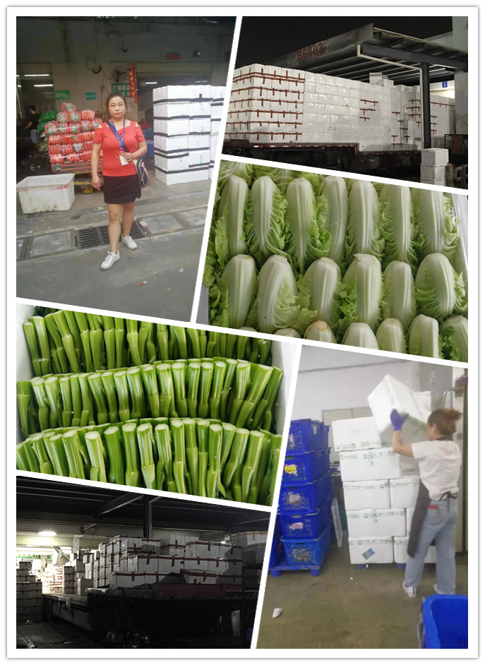 中国·6163天河(股份)有限公司-官方网站