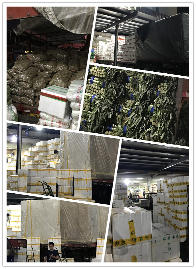 中国·6163天河(股份)有限公司-官方网站