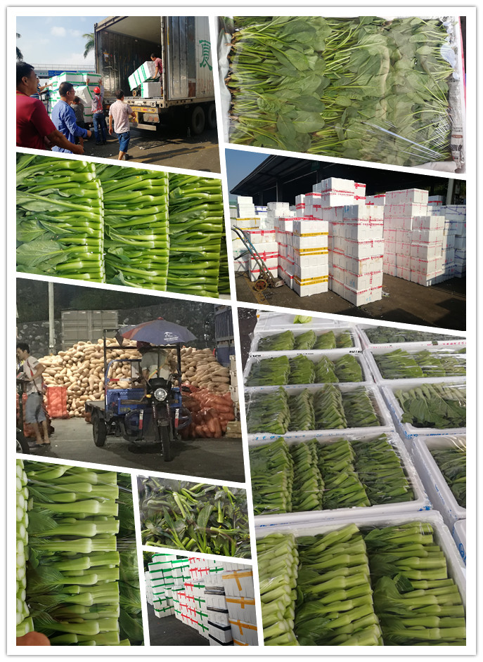 中国·6163天河(股份)有限公司-官方网站