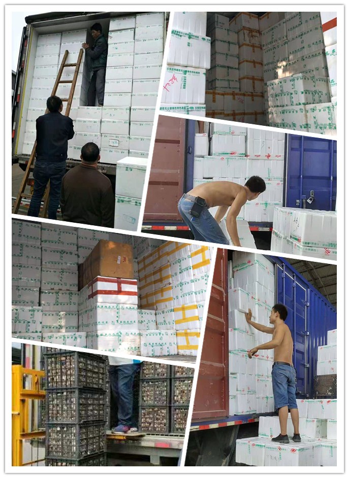 中国·6163天河(股份)有限公司-官方网站